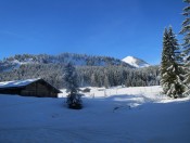 Vorbei an der Innerlienbachalm geht es auf eine Forstweg bergan