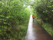 Wunderschön angelegte Wanderpfade