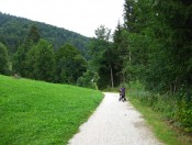 Wanderung mit dem Kinderwagen auf dem Gaisberg 