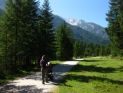 Herrlich angelegte Pfade - bestens geeignet für eine Kinderwagenwanderung