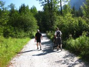 Breite Forstwege bieten ein ideales Terrain für eine Kinderwagenwanderung 