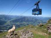 Wandern am Kitzbüheler Horn