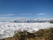 Blick vom Klingspitz auf die Hohen Tauern