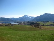 Blick vom unteren Teil des Kolomannsberges auf Mondsee und Drachenwand