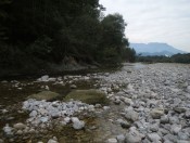 In einem breiten Schotterflussbett bahnt sich die Taugl ihren Weg