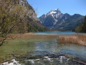 Der Leopoldsteinersee mit dem Pfaffenstein im Hintergrund