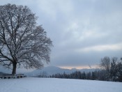 Vom Plainberg öffnet sich ein wunderbarer Blick auf die Stadt Salzburg