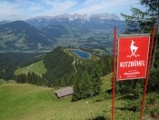 Steil hinab gehts in die Mausefalle auf der Streif - Rennstrecke in Kitzbühel