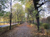 Herrliche Herbststimmung im Park Schönbrunn