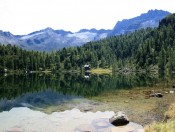 Malerischer Reedsee vor einer beeindruckenden Bergkulisse