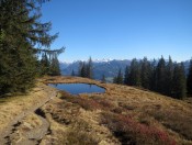 Eines der vielen Feuchtbiotope - Blick auf die Schladminger Tauern