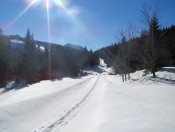 Einsame Spur auf Höhe der Schafbachalm