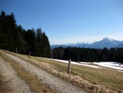 Vom Scherntan Plateau in Richtung Schafberg