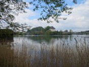 Das Schloß Mattsee vom Wanderweg am Südufer aus gesehen