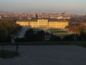 Blick auf die Stadt Wien und das Schloss Schönbrunn