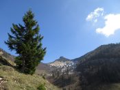 Die letzten Schneereste werden sich auch am Schmittenstein nicht mehr lange halten können.