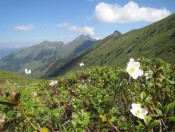 Seebachscharte - Zwischen Gasteinertal und Raurisertal