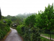 Der Seerundwanderweg am Kalterer See