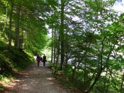 Herrlicher Seerundwanderweg um den Vorderen Gosausee