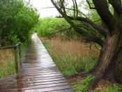 Wir erreichen das Naturschutzgebiet im südlichen Bereich