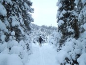 Tief verschneite Landschaft im Gasteinertal