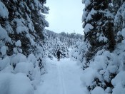 Skitour zur Jungeralm im Gasteinertal