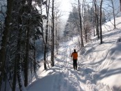 Durch herrlichen Wald geht es in einigen Kehren rasch empor