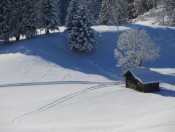 Herrlicher Schnee bei unserer Skitour auf den Hahnbaum