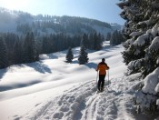 Bald sehen wir den Kamm zwischen Zwölferhorn und Pillstein