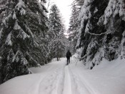 Wir starten unsere Skitour zum Zwölferhorn in der Tiefbrunnau