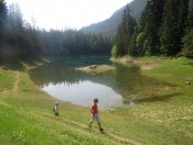Herrlicher Spaziergang am Grünen See in der Steiermark
