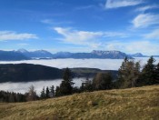 Blick vom Spielberg auf das nebelverhangene Salzachtal und die Berchtesgadener Alpen