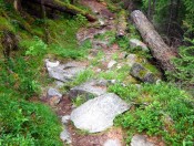 Steiniger Weg zum Reedsee