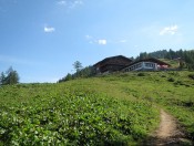 Wir passieren die Strussingalm und erfreuen uns am schönen Ausblick