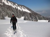 Die Stubneralm ist sehr bald erreicht