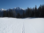 Blick auf den Gamskarkogel