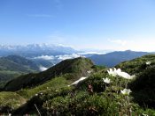 Die Aussicht vom Tagkopf in Dorfgastein ist unbeschreiblich schön