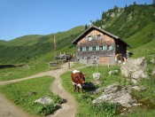 Die Tappenkarseealm lädt zum Verweilen ein mit herrlichem Blick auf den See