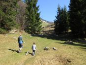 Wir erreichen in Kürze die Tenneralm mit den Hütten