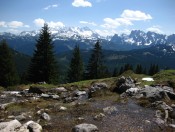 Dachstein und Gosaukamm