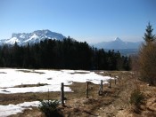 Der Untersberg und der Staufen begelieten uns beim Abstieg