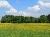 Wandern am Voggenberg