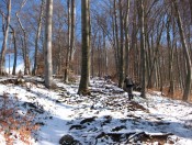 Durch eine Waldpassage in Richtung Rauchenbichl