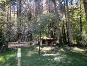 Vorbei an der Waldandacht