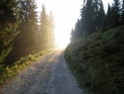 Endlich erreichen wir bei unserer Wanderung in Dienten die Nebelgrenze