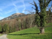 Wandern von Aigen bei Salzburg auf den Gaisberg