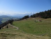 Die Niglkaralm mit Tennengebirge und Hoher Göll im Hintergrund