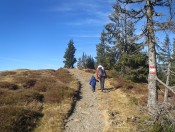 Herrliche Wanderwege am Gipfelplateau vom Rossbrand