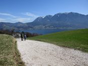 Bei unserer Wanderung von Unterach zum Egelsee genießen wir tolle Ausblicke auf den Attersee.