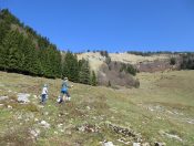 Ideales Gelände für ein Wanderung mit Kindern - Im Niglkar mit Blick auf den Schlenken